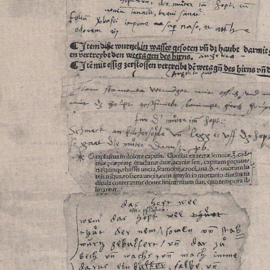 Seite (Ausschnitt) aus einem handschriftlichen „Thesaurus practicae medicinae“Zentralbibliothek Zürich, MS 204a, f. 471; entnommen aus Ann Blair: Too Much to Know. Managing Scholarly Information before the Modern Age, New Haven & London 2010, S. 